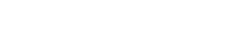 BRAVELOGIS